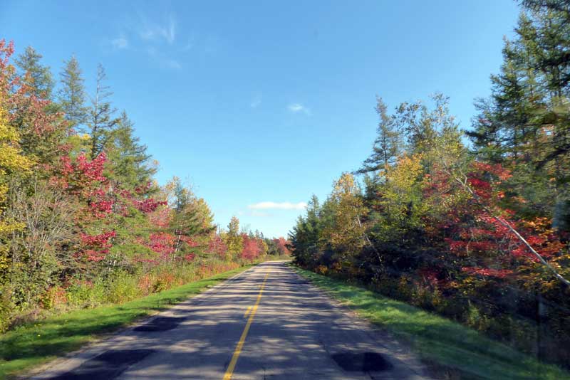Sur-la-route-automnale