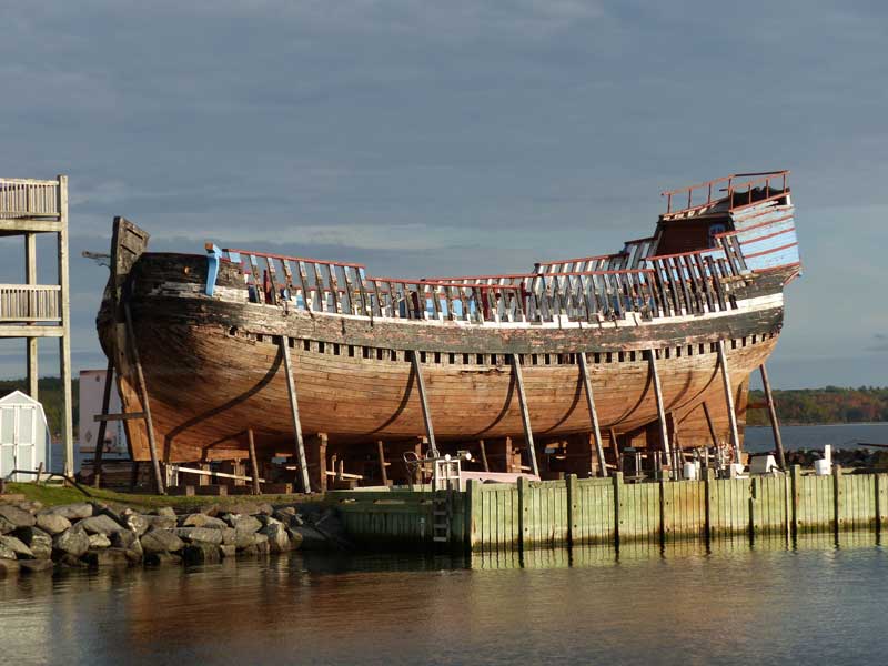 Pictou-coque-du-Hector