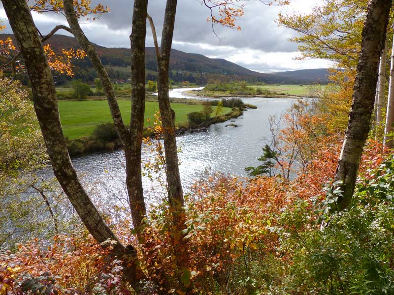 Margaree
                    River