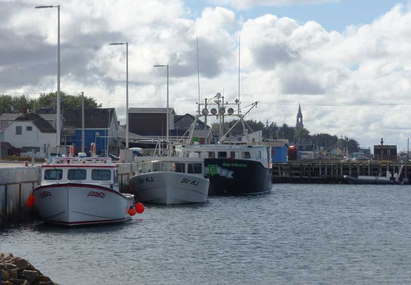 Sur le
                    quai du port de Chéticamp