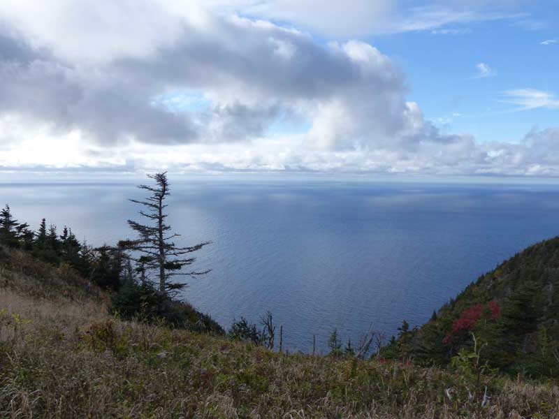 Parc-national-du-Cap-Breton-Skyline-Trail : Baie