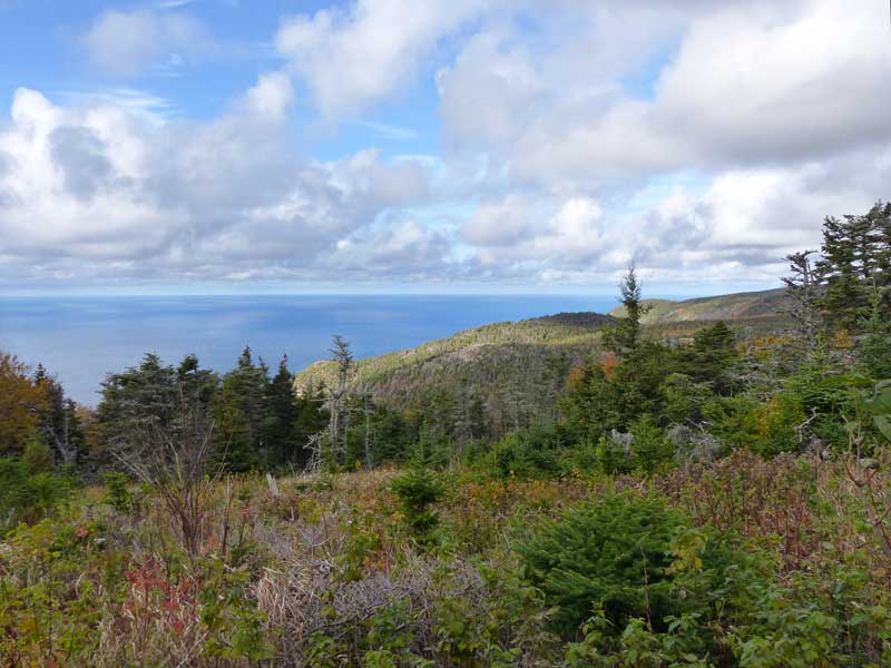 Parc-national-du-Cap-Breton-Skyline-Trail