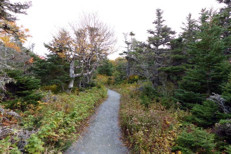 Parc-national-du-Cap-Breton-Skyline-Trail : Fin de la
            boucle