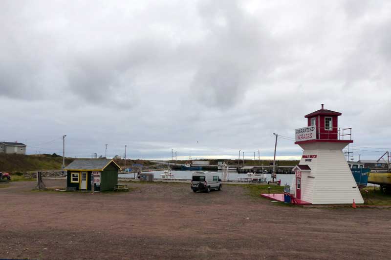 Bivouac à Pleasant Bay Harbour