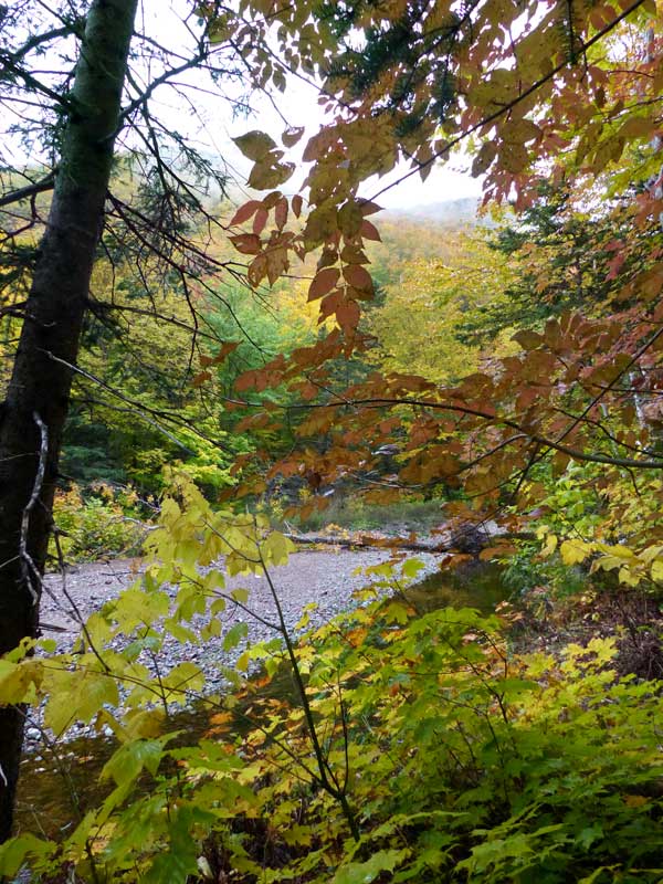 Lone-Shieling : la rivière