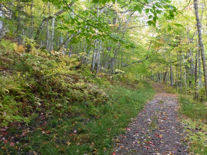 Depuis
              Beulach Ban Falls, le sentier vers la faille Aspy