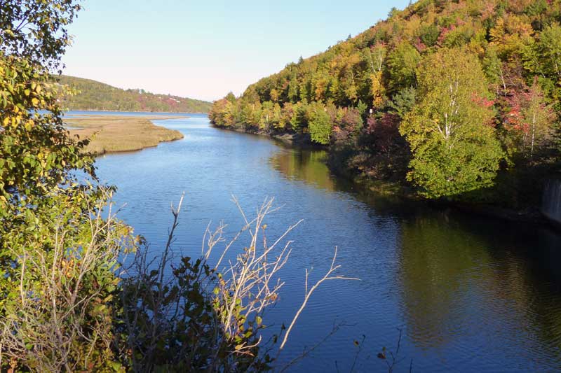 Ingonish
              River