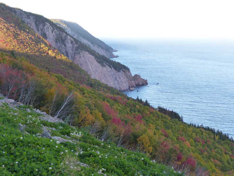 Mont
            Smokey : panorama vers le nord