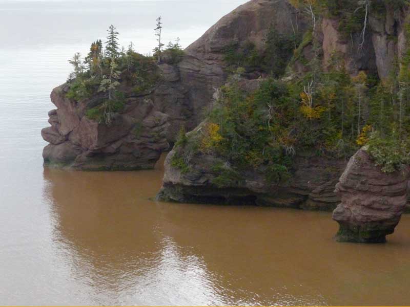 Hopewell Cape : Grande Anse