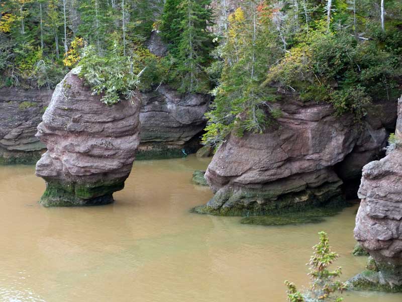 Hopewell Cape : rocherss isolés dans Grande Anse