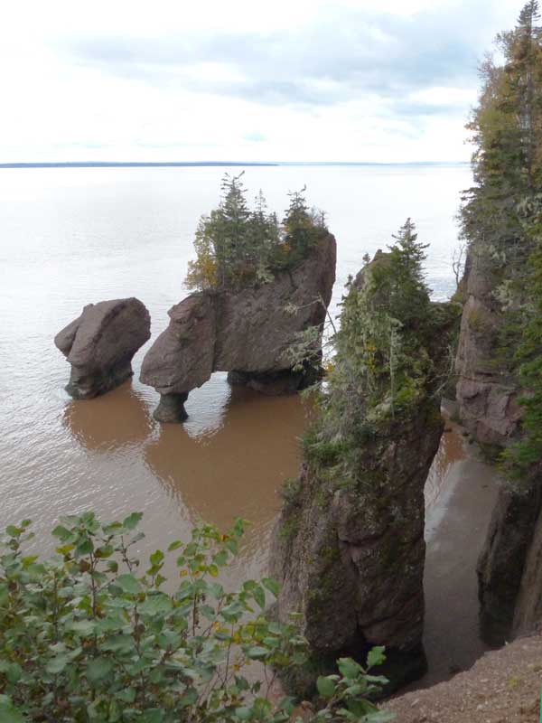 Hopewell Cape : Anse des escaliers