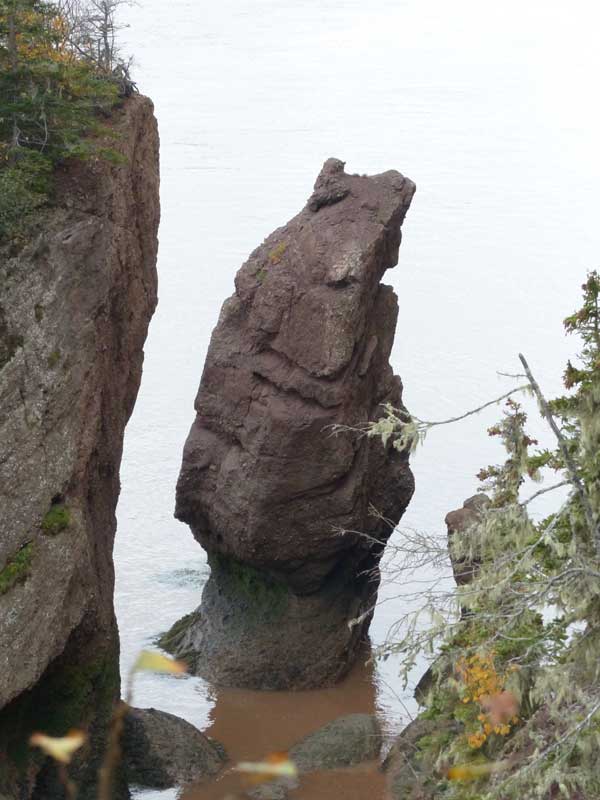 Hopewell-Cape-Rocher-de-l'Ours