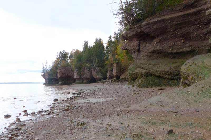 Hopewell
                    Cape : les Pots de fleurs (Flower Pots Rocks)