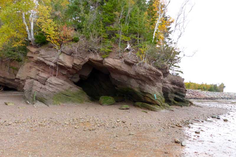 Hopewell Cape : grotte dans la falaise de grès