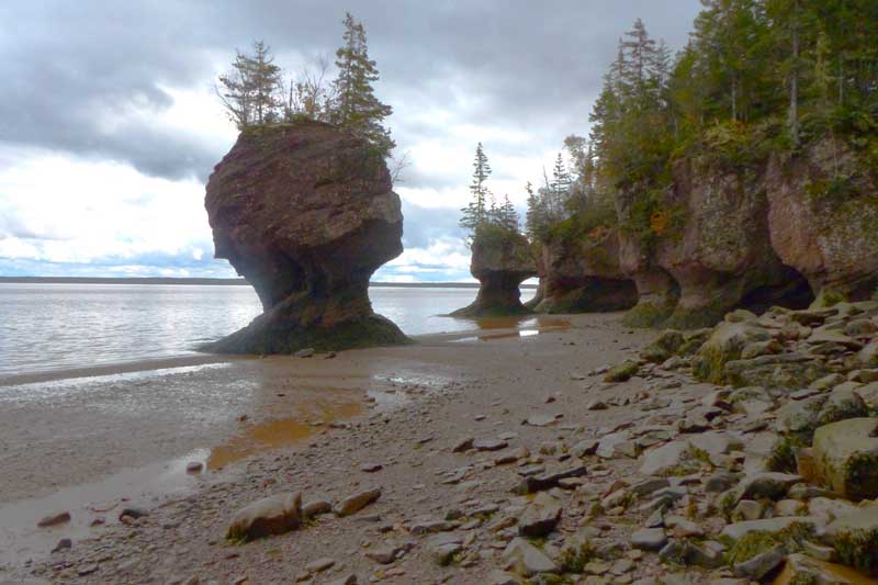 Hopewell-Cape-Les-Pots-de-fleurs