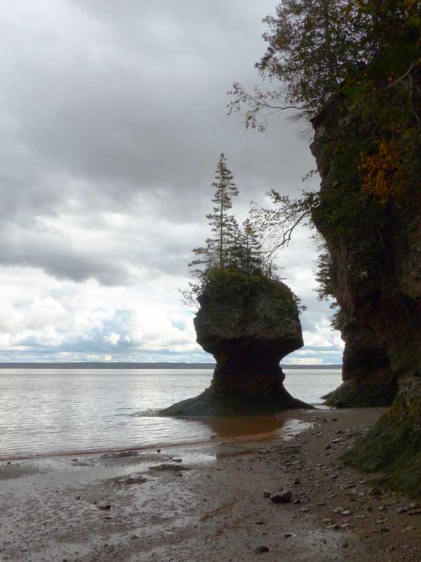 Hopewell Cape : Les-Pots de fleurs