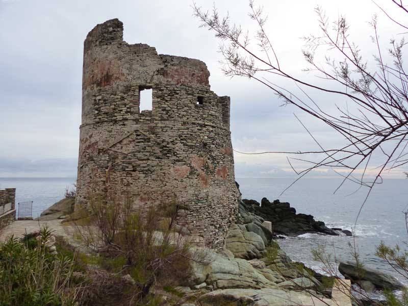 Erbalunga-la-tour-de-guet-genoise-1561
