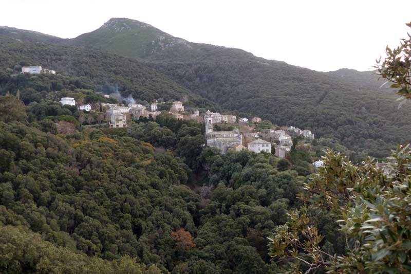 Pino village
                      balcon