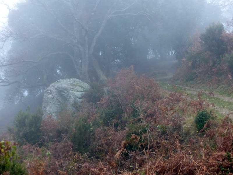 Chapelle San-Petru : le monstre au biord du chemin