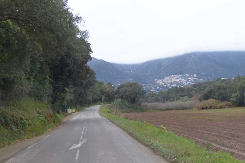 Sur-la-D71-en-remontant-vers-Cervione