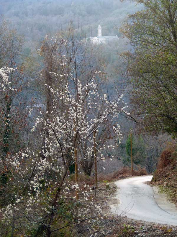En-vue-du-couvent-d'Alesani