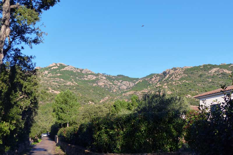 Araghju-les-montagnes-ou-se-trouve-le-casteddu