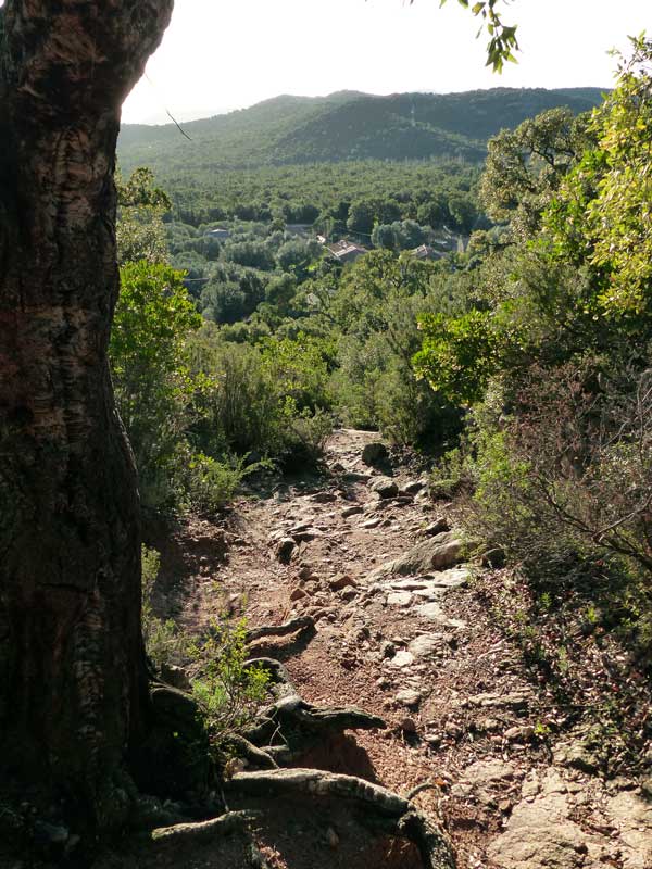 En descendant le sentier du Casteddu d'Araghju