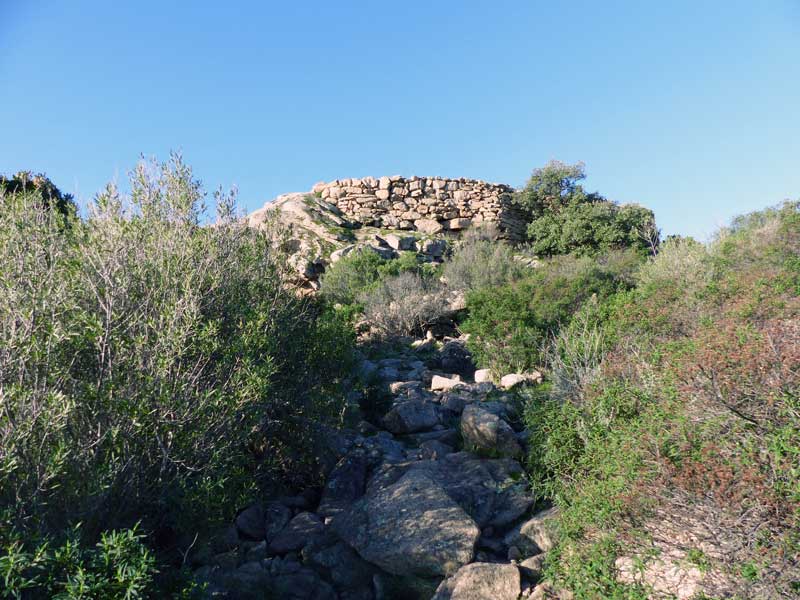 Casteddu-d'Araghju-en-vue-des-murs