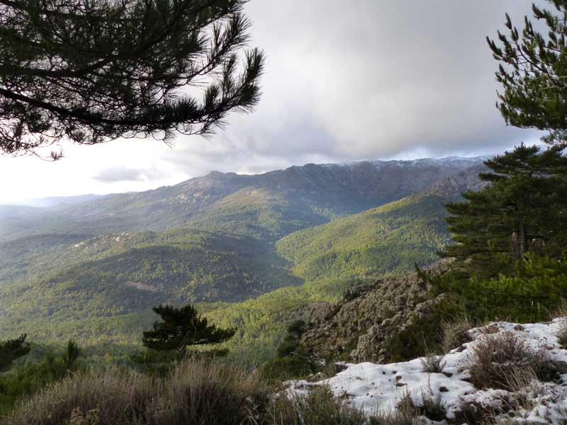 Route-du-col-de-Bavella-apres-Zonza