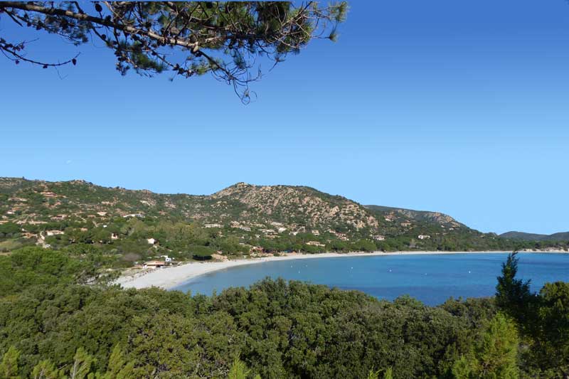 Tamarricio
