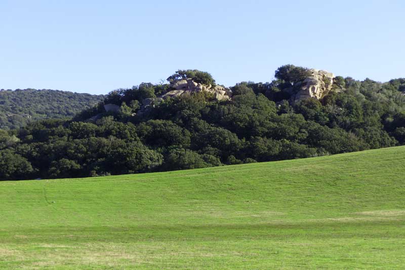 Casteddu-de-Tappa-depuis-la-route