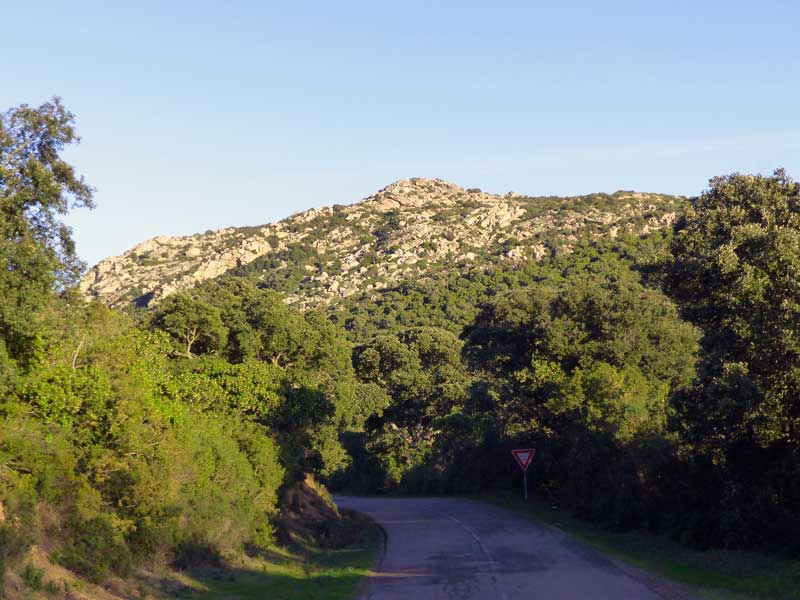 Collines-pierreuses-et-maquis-entre-Tappa-et-la-T10
