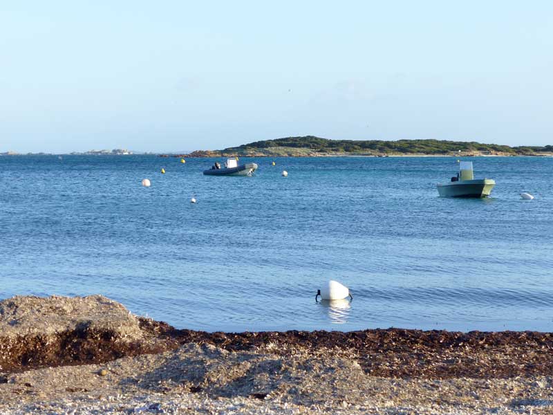 Plantarella : le rivage et les Iles-Lavezzi