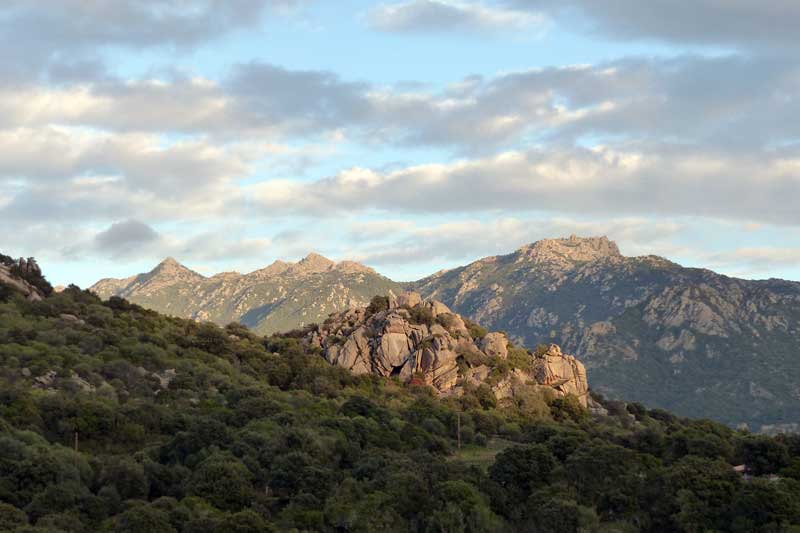 Sur la
                    route de Sartène