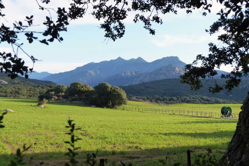 Prairies en allant vers Stantari