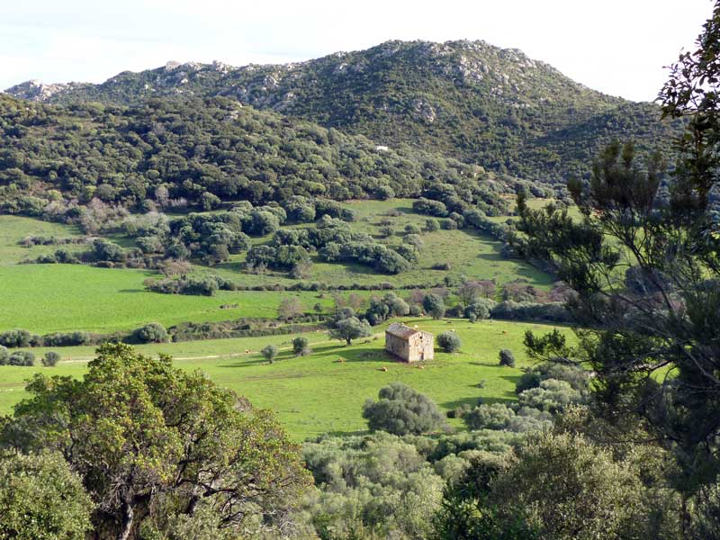 Grossa-chapelle-San-Giovanni-Battista-sur-la-D21-pres-Alo-Bisucce