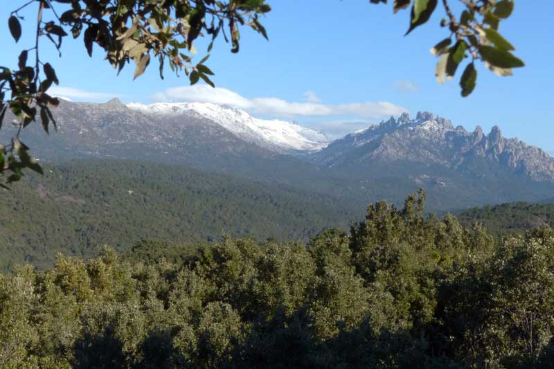 Cucuruzzu-Incudine-et-aiguilles-de-Bavella