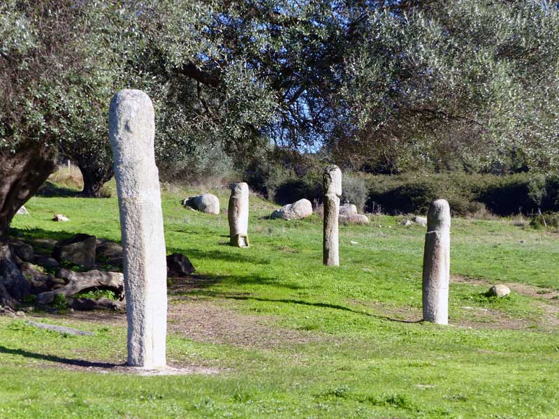 Filitosa-les-steles-dans-la-prairie