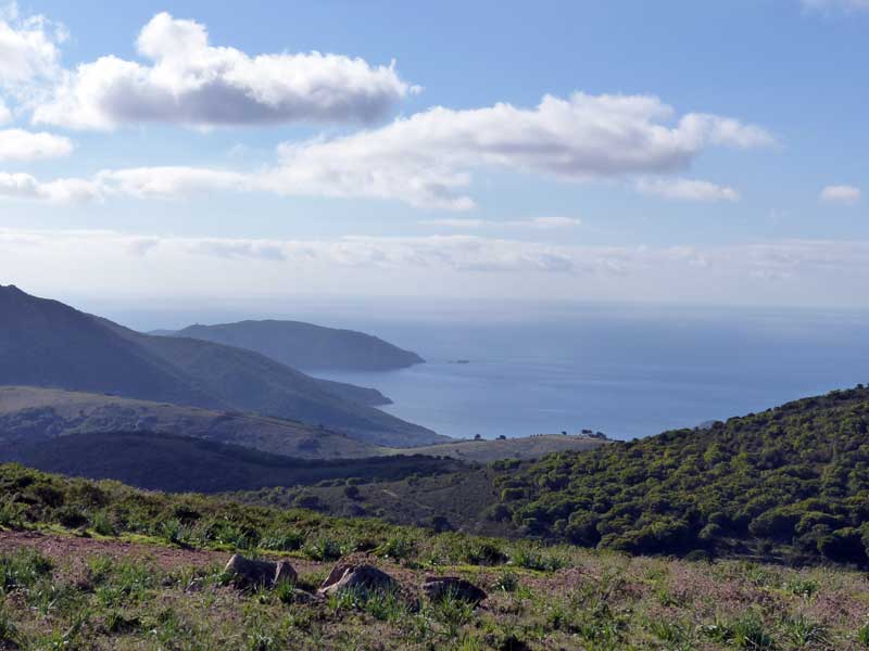 Route-de-Piana-a-la-Plage-d'Arone
