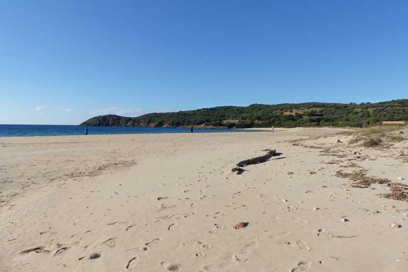 Plage-d'Arone-vers-le-nord