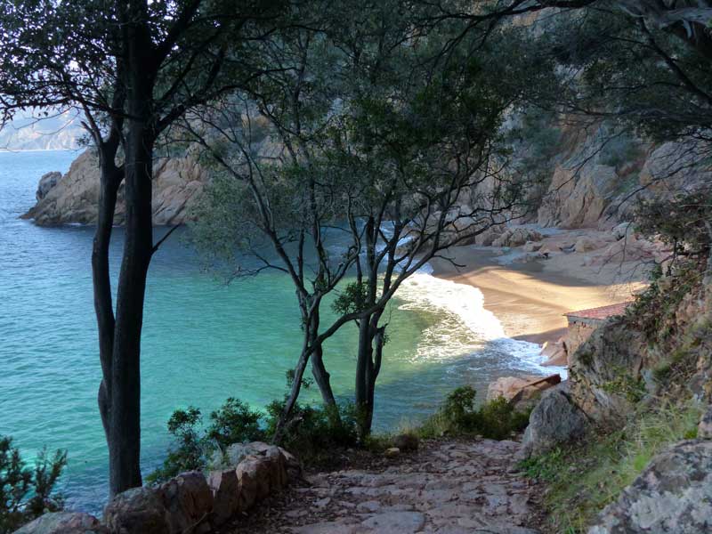 Arrivée sur la plage de Ficaghjola