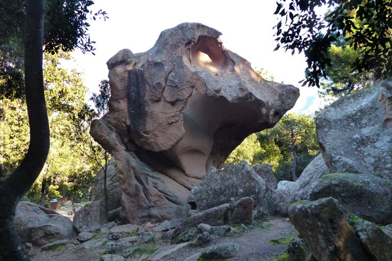 la-Tete-de-Chien