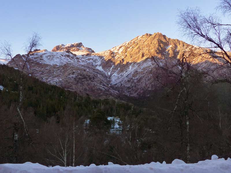 Route d'Evisa à Corte : forêt de Valdu-Niellu