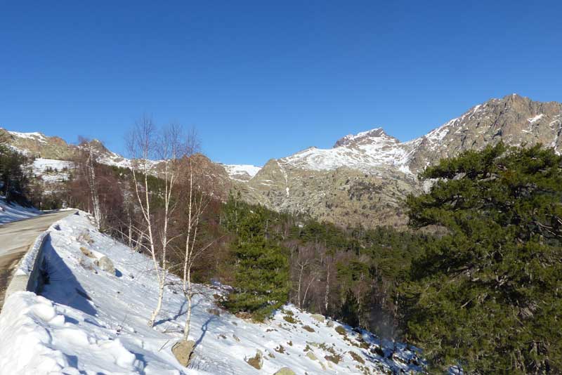 Foret-de-Valdu-Niellu, vers le col