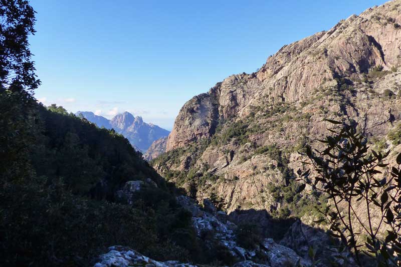 Descente-vers-la-foret-d'Aitone