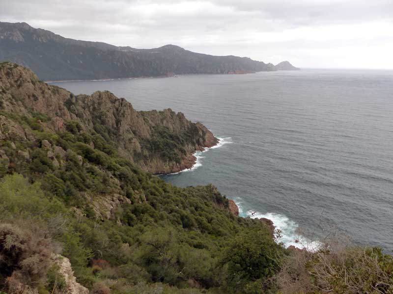 Sur-la-D81-Partinello