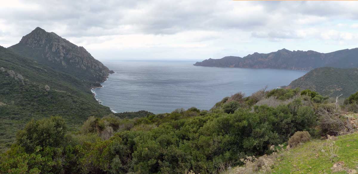 Golfe-de-Girolata-depuis-le-Col-de-la-Croix-Bocca-Croce