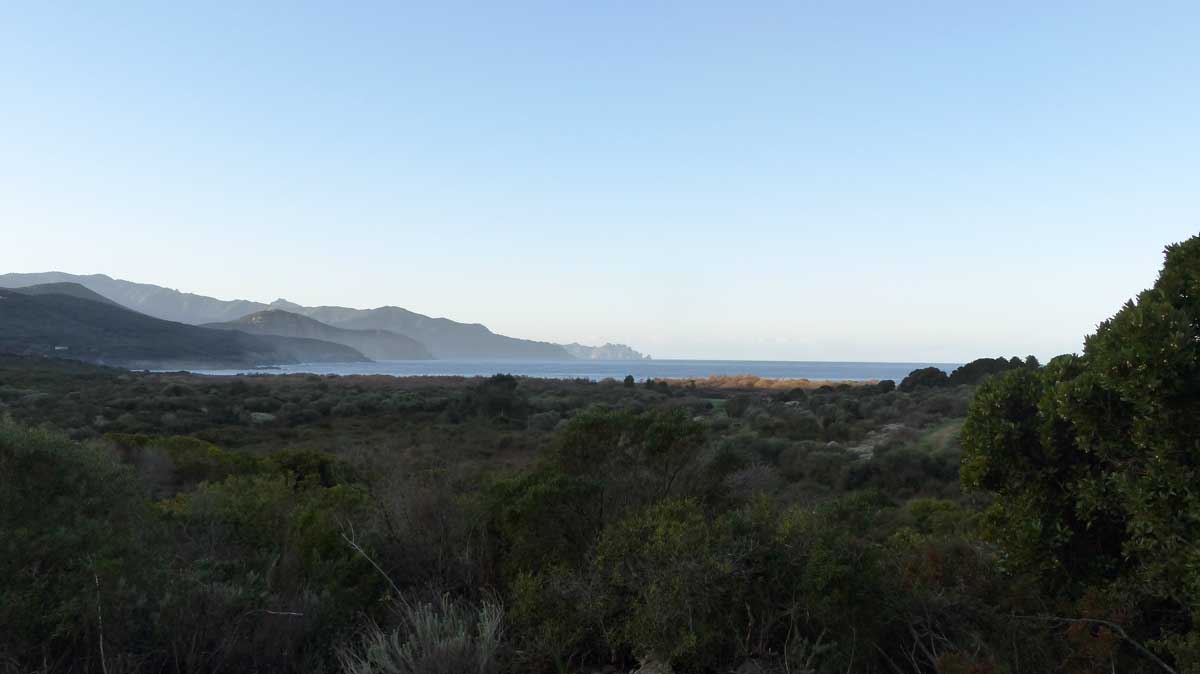 Route-81b-entre-Galeria-et-Calvi