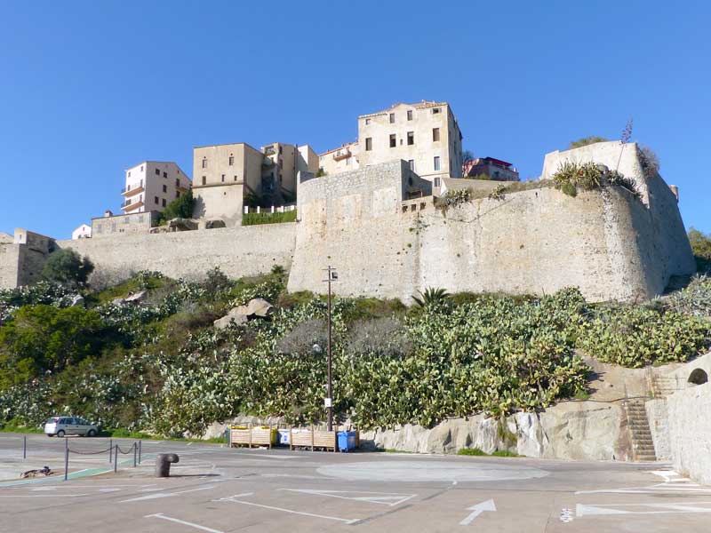 La citadelle de Calvi depuis le port