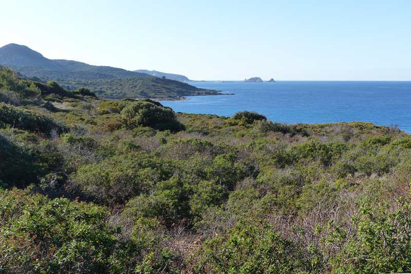 Losari-vue-vers-l'Ile-Rousse-depuis-la-tour